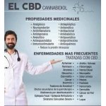 ACEITE  DE CANNABIS SUBLINGUAL - Image 4