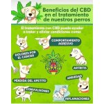 ACEITE  DE CANNABIS SUBLINGUAL - Image 7