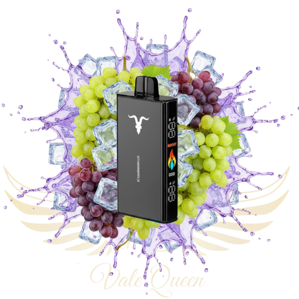 Ignite V250 25.000 Puffs - Black Grape Ice