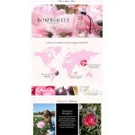 Mist Corporal Bombshell - Image 2