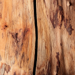 Beverly Hills Polo Club Pour Femme 2 - 50ml - Image 2